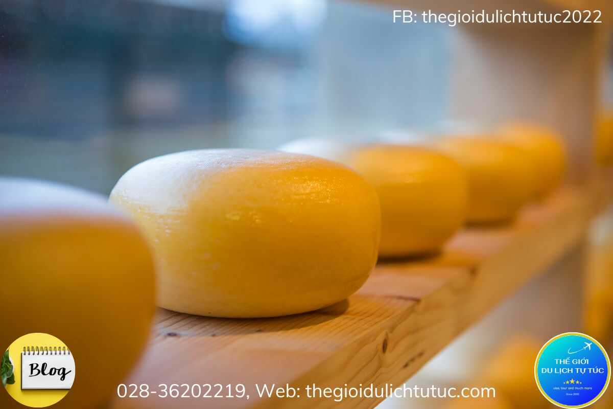 Gouda Cheese-thegioidulichtutuc