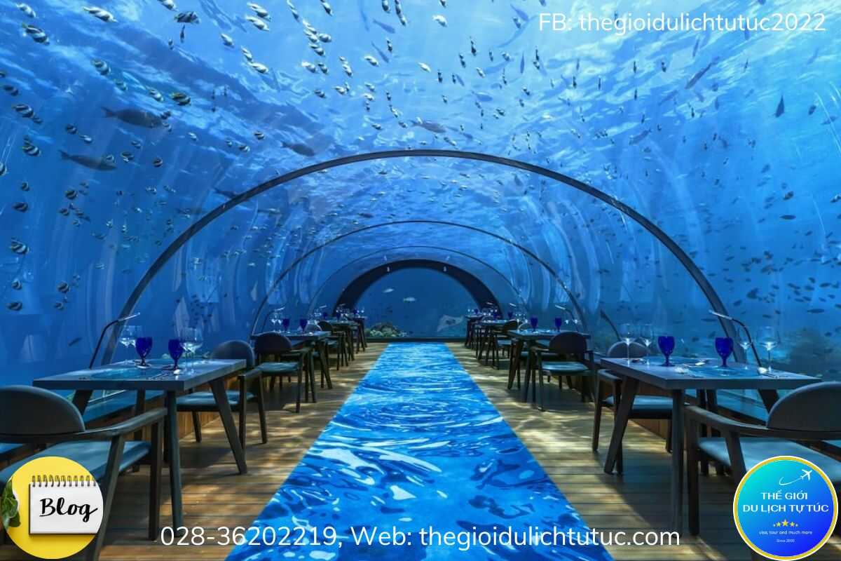 Nhà hàng 5.8 Undersea độc đáo dưới đại dương-thegioidulichtutuc