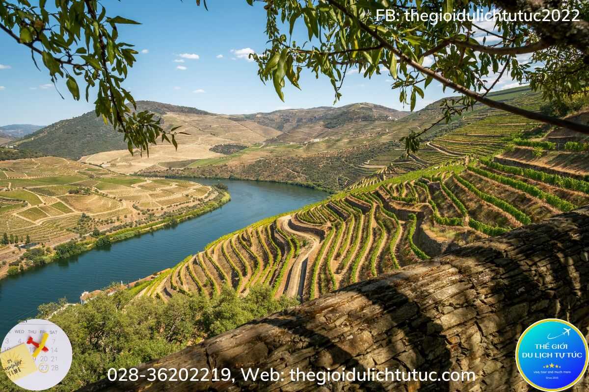 Douro, xứ xở của rượu vang-thegioidulichtutuc