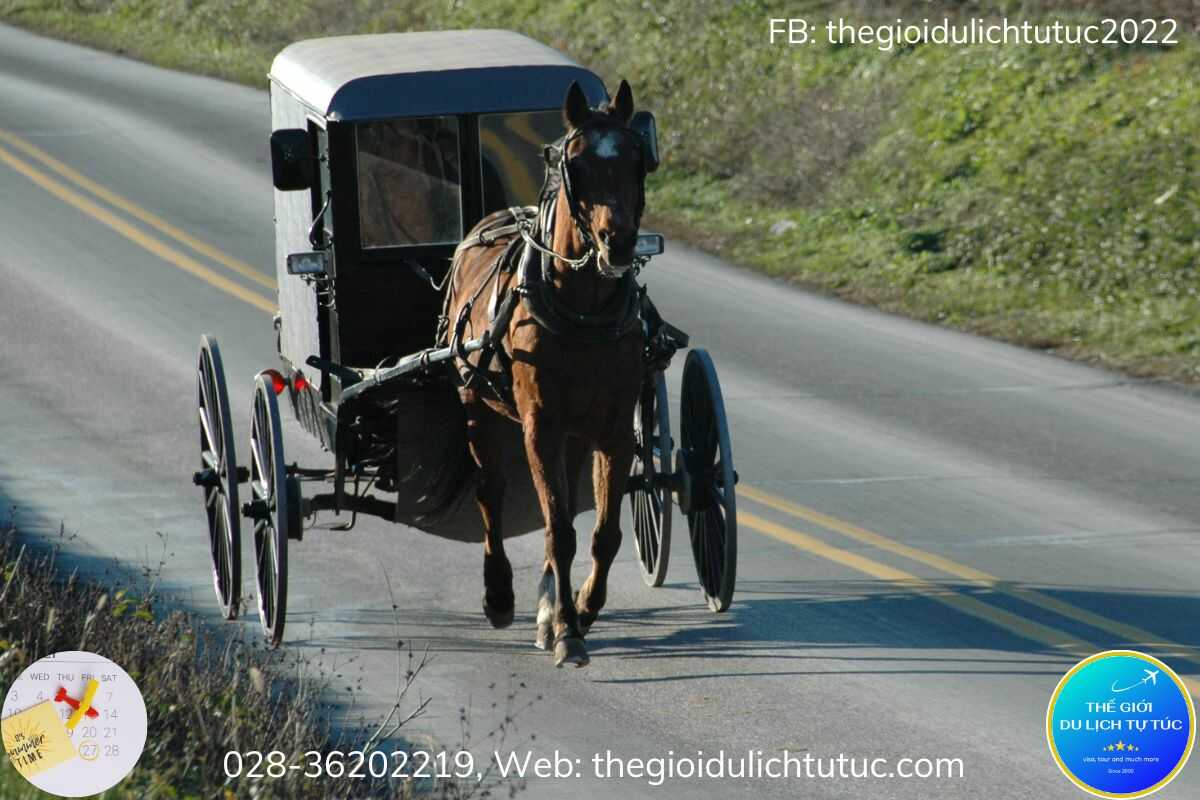 Nông trại của người Amish-thegioidulichtutuc