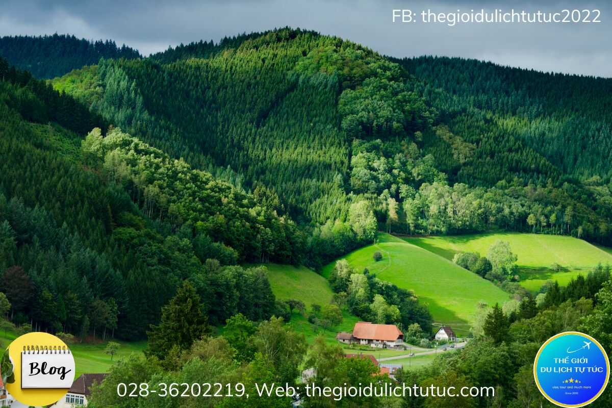 Rừng đen (Black Forest)-thegioidulichtutuc
