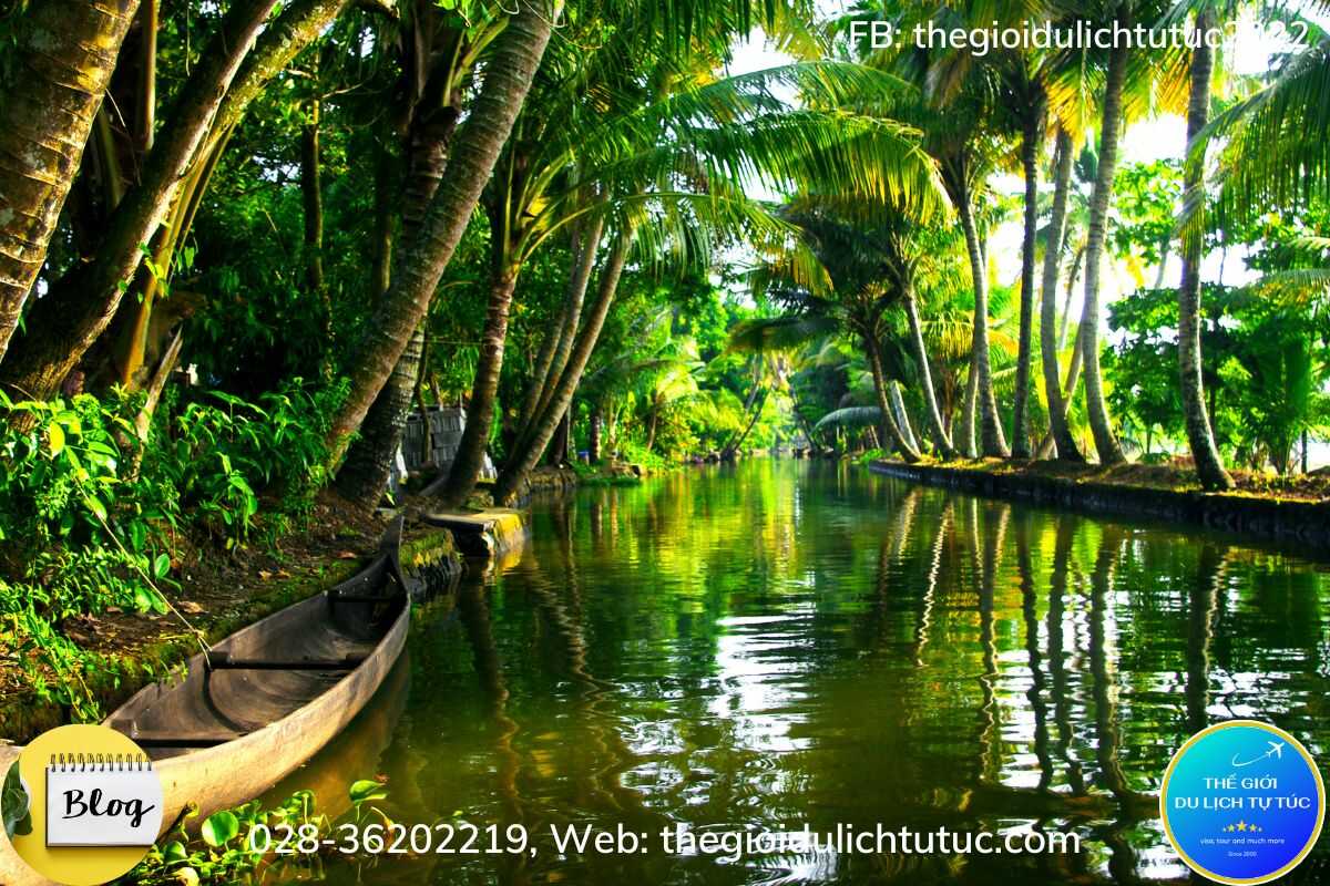 Dừa Kerala-thegioidulichtutuc